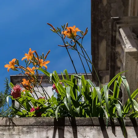 Slavija Culture Heritage Hotell Split